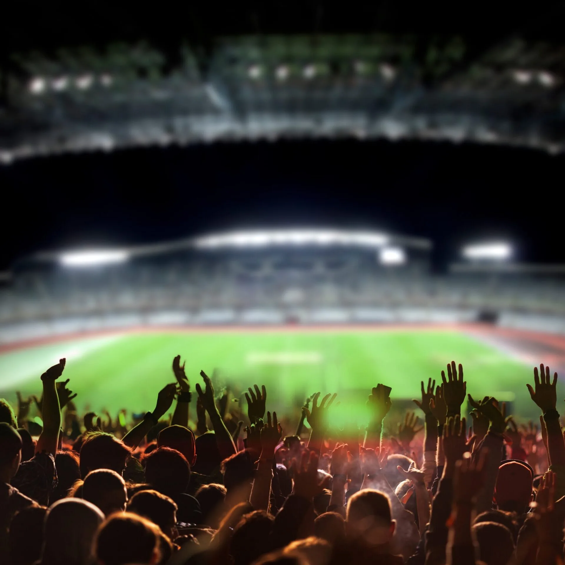 Night Out at the Stadium